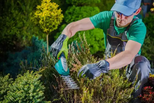landscaping services Houghton Lake